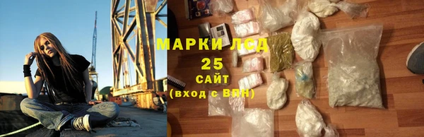 шишки Корсаков