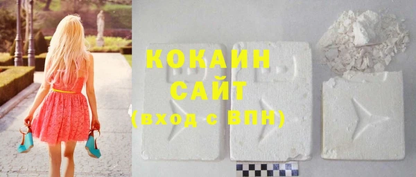 шишки Корсаков