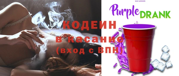 шишки Корсаков