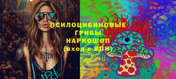 шишки Корсаков