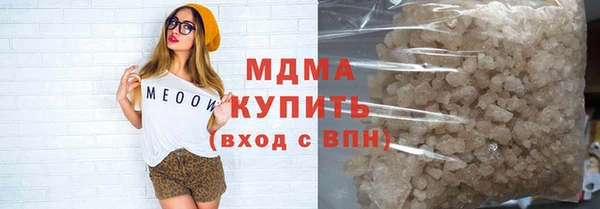 шишки Корсаков
