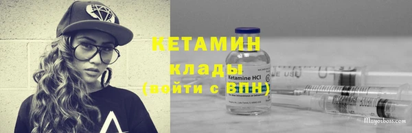 шишки Корсаков