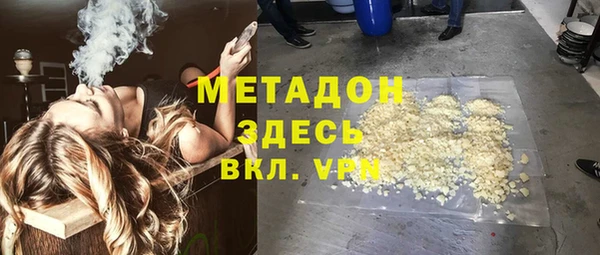 шишки Корсаков