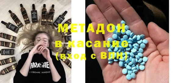 шишки Корсаков