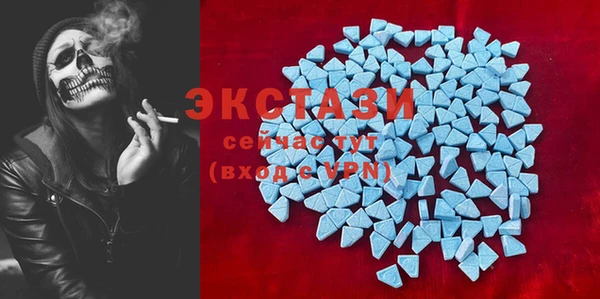 шишки Корсаков