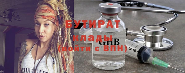 шишки Корсаков