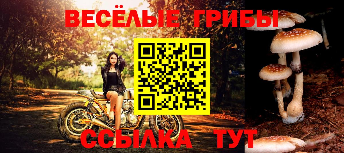 Псилоцибиновые грибы Cubensis Сызрань