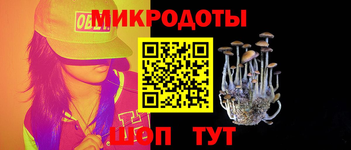 Сызрань  Псилоцибиновые грибы ЛСД  Галлюциногенные грибы Psilocybine cubensis  Вход с VPN 