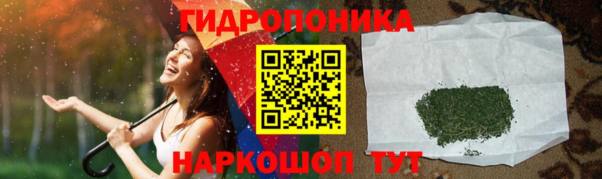 Марихуана семена  Вход с VPN  Каннабис планчик  Сызрань  Конопля White Widow 